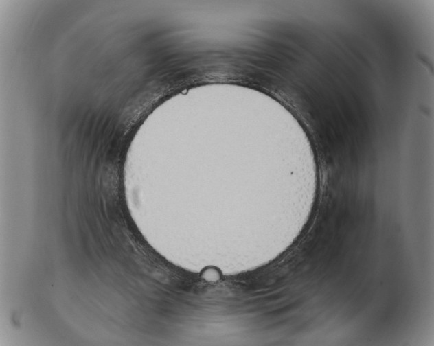 X0000103170297200809121906