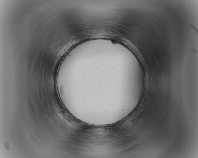 X0000103170298200809121906