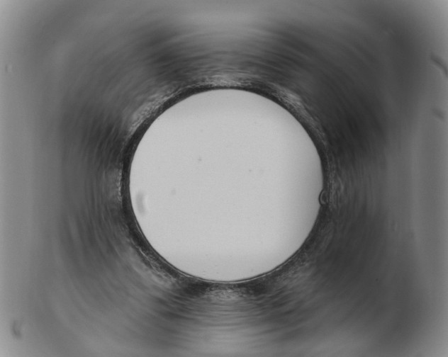 X0000103170299200809121906