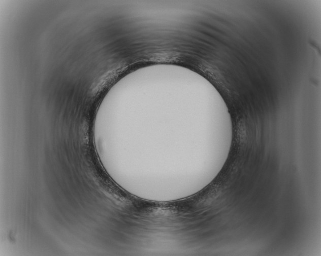 X0000103170303200809121906