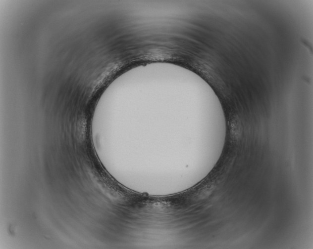 X0000103170304200809121906