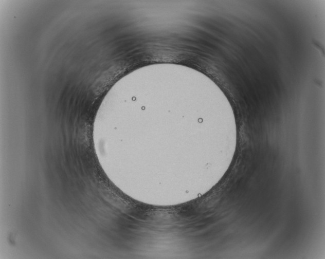 X0000103170305200809121906