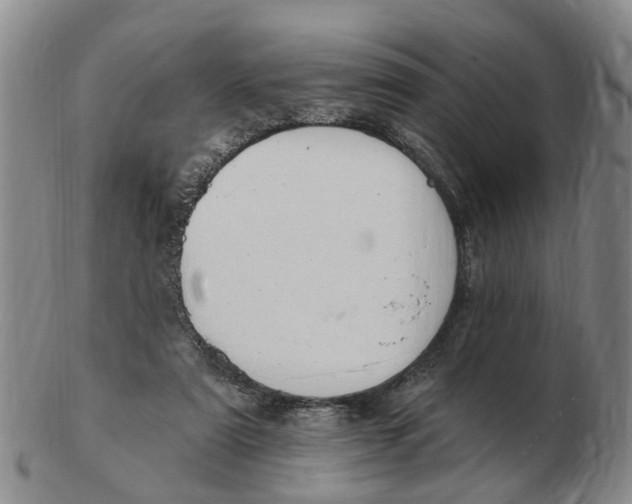 X0000103170307200809121906