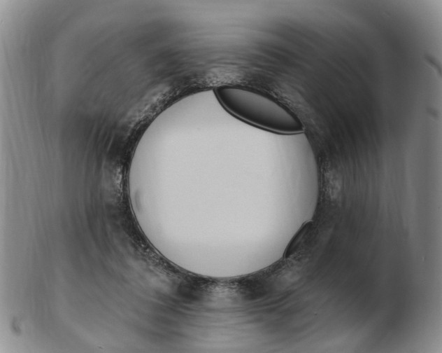 X0000103170308200809121906