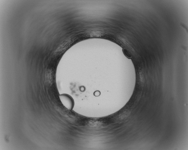 X0000103170311200809121906