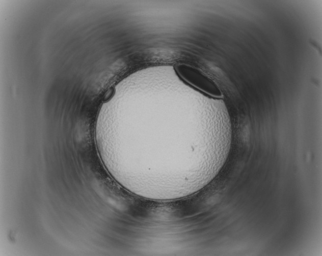 X0000103170312200809121906