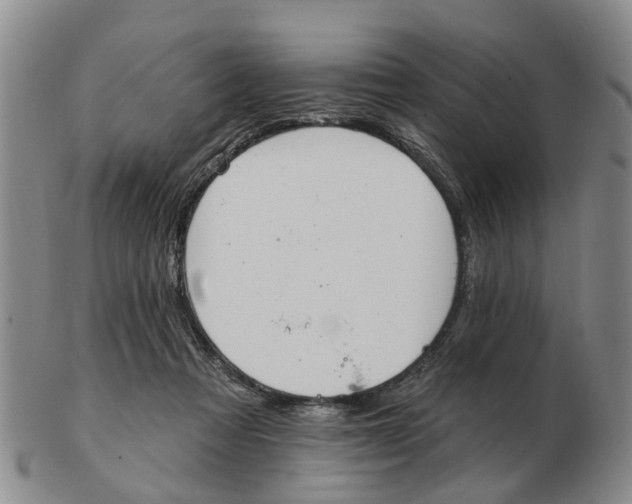 X0000103170313200809121906