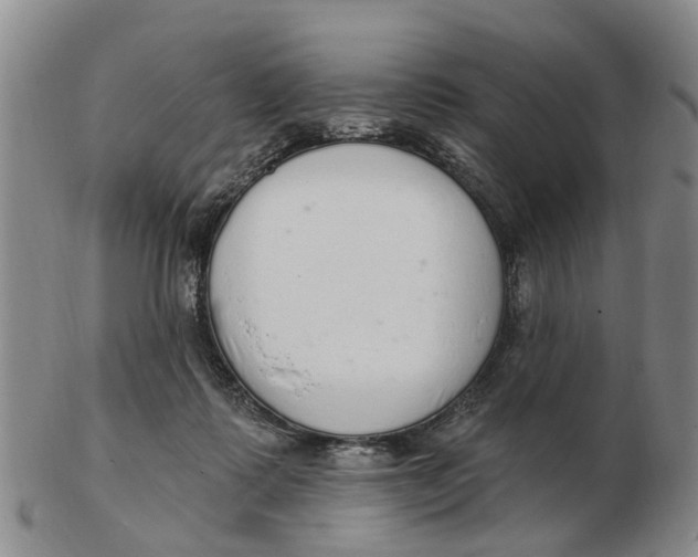 X0000103170315200809121906