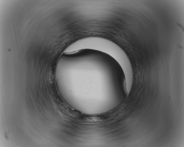 X0000103170316200809121906