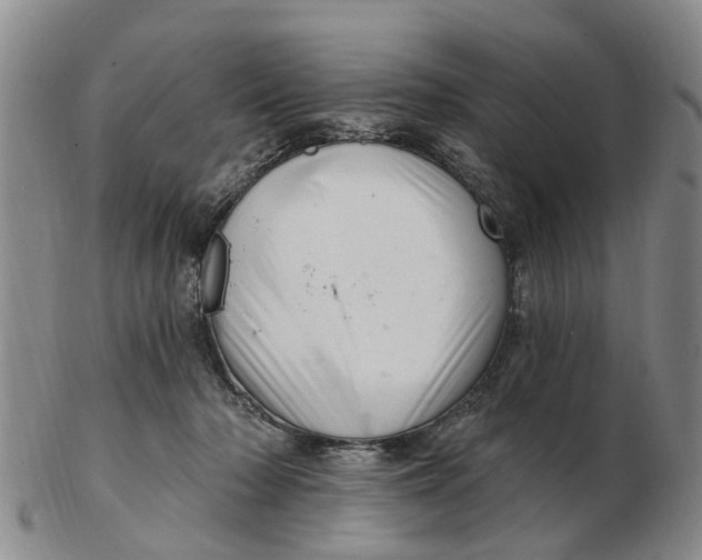 X0000103170318200809121906