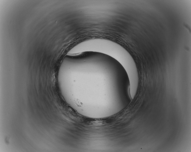 X0000103170320200809121906