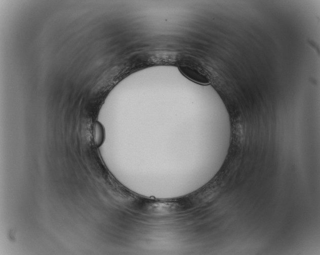 X0000103170323200809121906