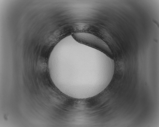 X0000103170324200809121906