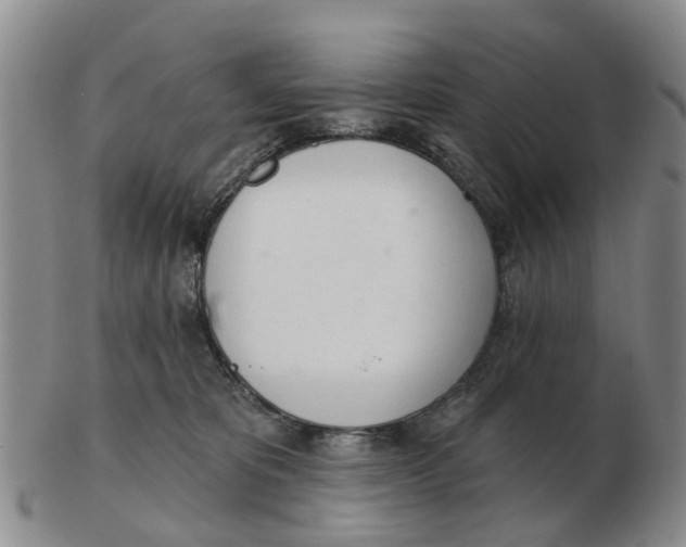 X0000103170325200809121906