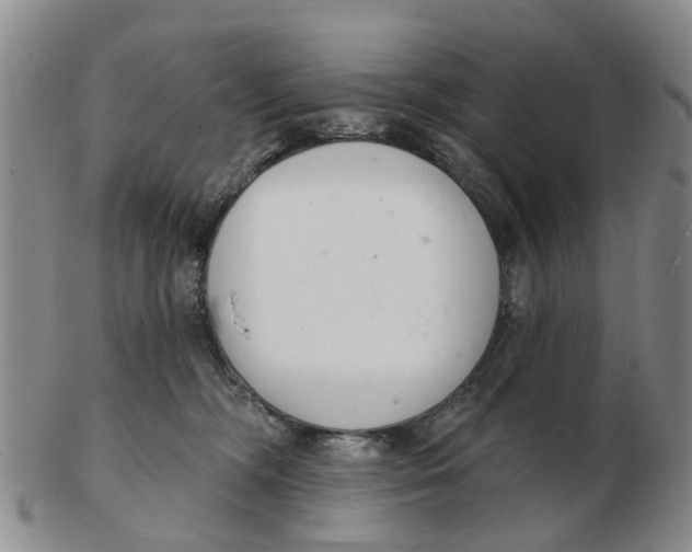 X0000103170326200809121906