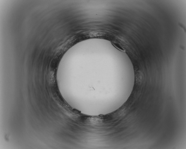 X0000103170327200809121906