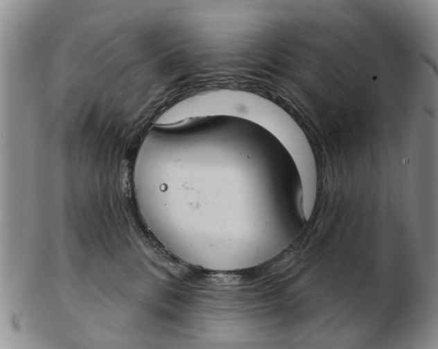 X0000103170328200809121906