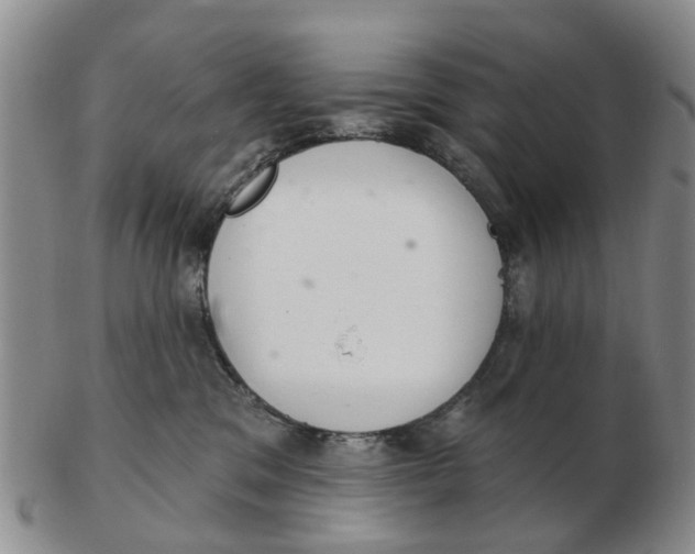 X0000103170329200809121906