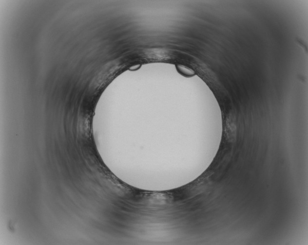 X0000103170330200809121906