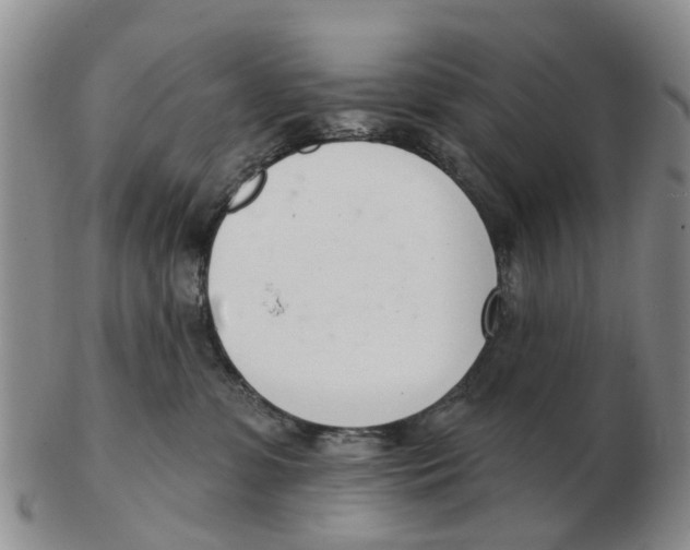 X0000103170331200809121906