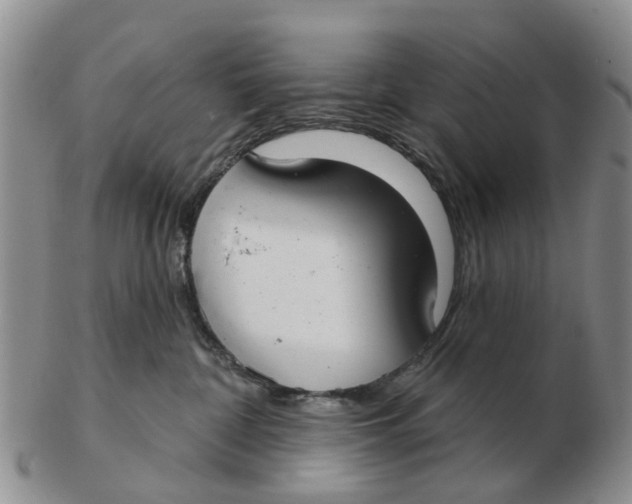 X0000103170332200809121906