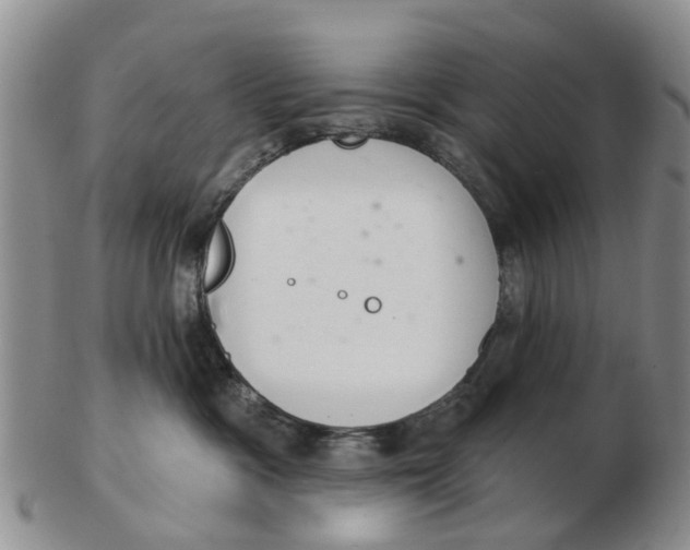 X0000103170333200809121906