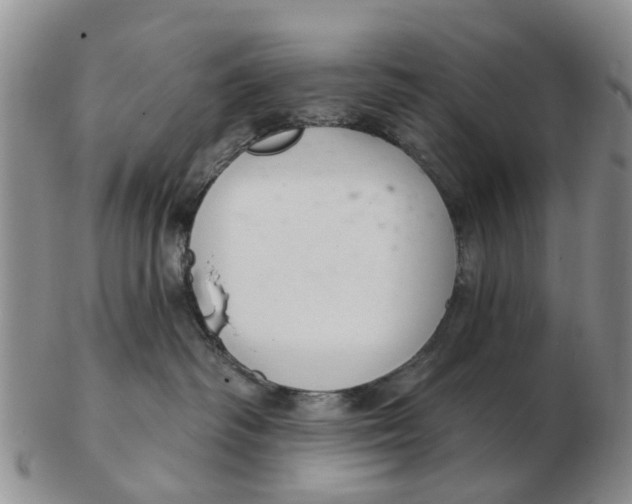 X0000103170334200809121906