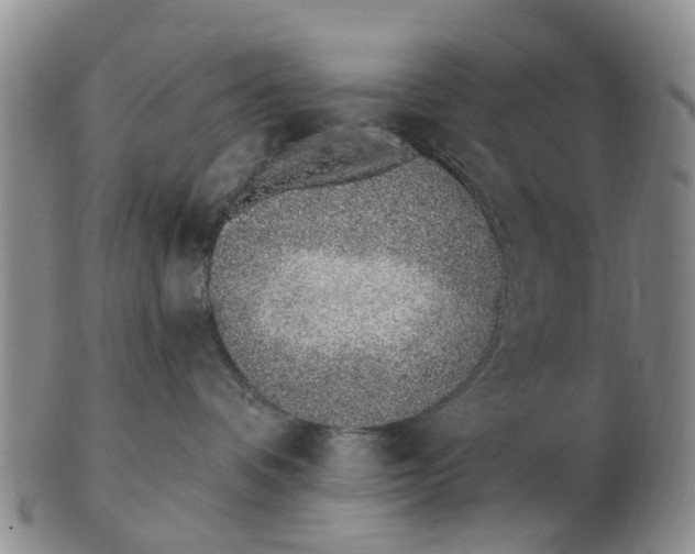 X0000103170336200809121906