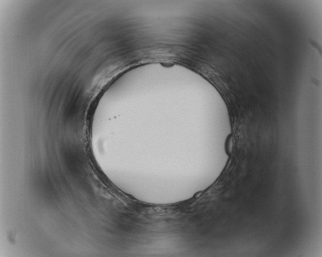 X0000103170338200809121905