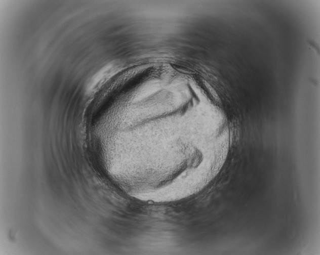 X0000103170339200809121905