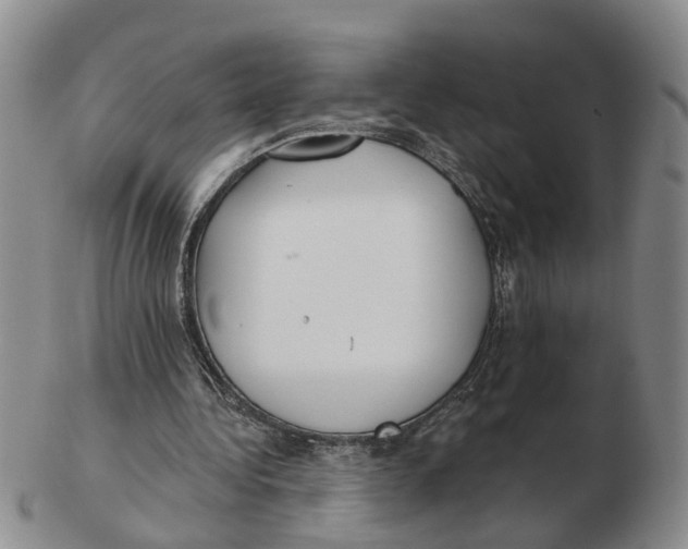 X0000103170340200809121905