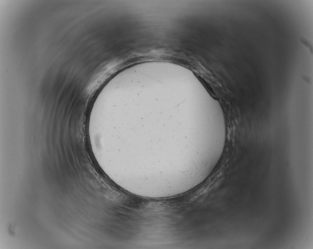 X0000103170341200809121905