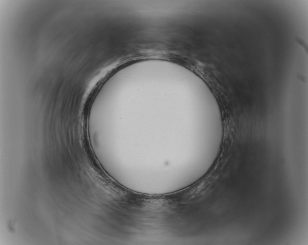 X0000103170342200809121905