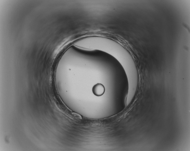 X0000103170344200809121905