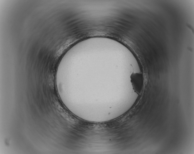 X0000103170345200809121905