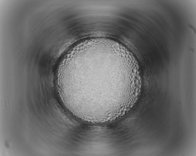 X0000103170347200809121905