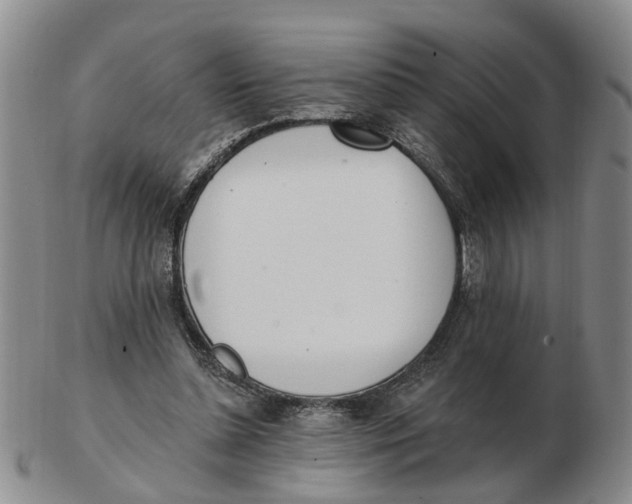 X0000103170348200809121905