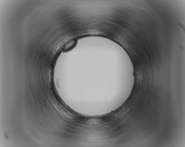 X0000103170350200809121905