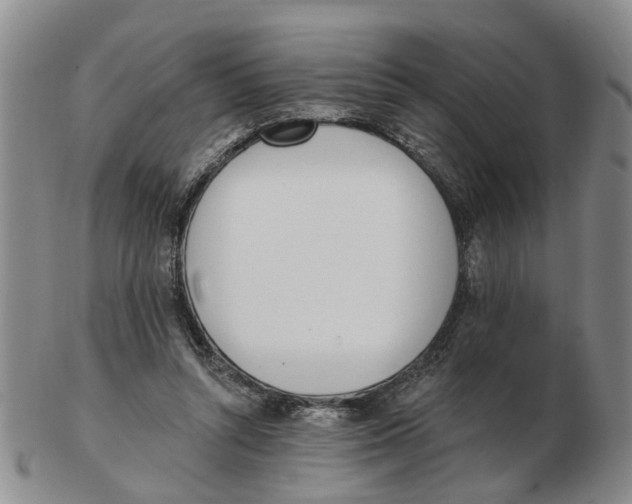 X0000103170352200809121905