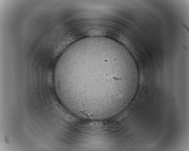 X0000103170353200809121905