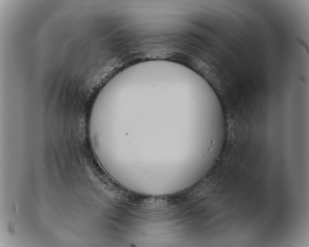 X0000103170354200809121905