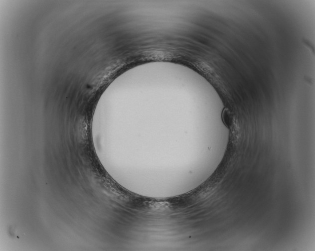 X0000103170355200809121905