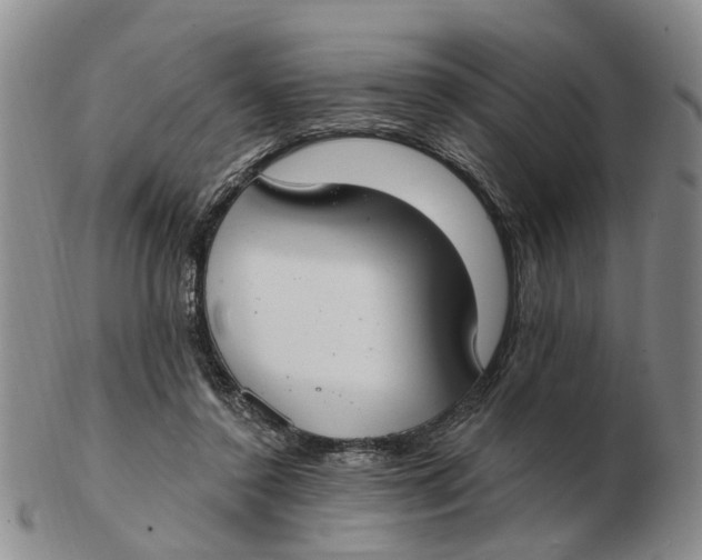 X0000103170356200809121905