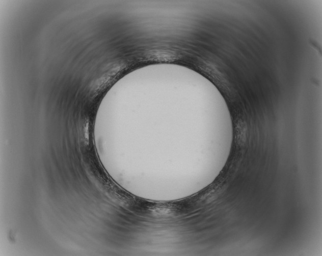 X0000103170358200809121906