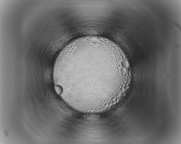 X0000103170359200809121906