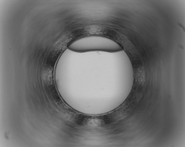 X0000103170360200809121906