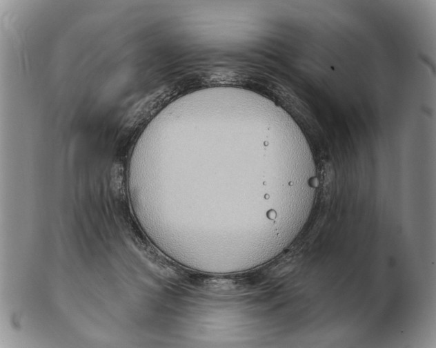 X0000103170361200809121906