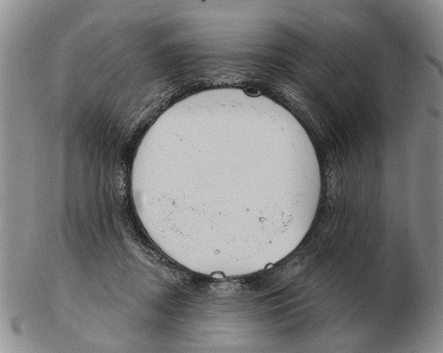 X0000103170362200809121906