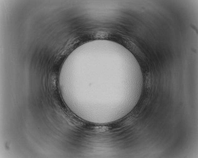 X0000103170363200809121906