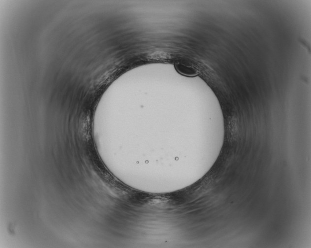 X0000103170364200809121906